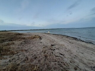 Ferienhaus Ørding  32