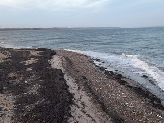 Ferienhaus Ørding  33