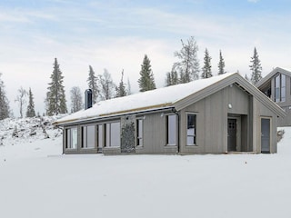 Vakantiehuis Fåvang Buitenaudio-opname 9