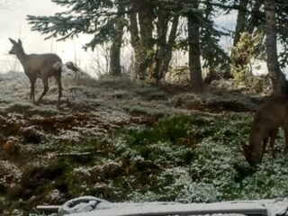 Vakantiehuis Øydegard Buitenaudio-opname 4