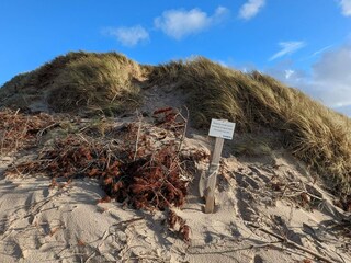 Vakantiehuis Vester Husby  11