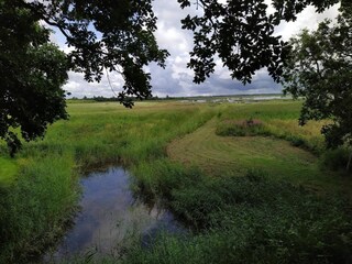 Vakantiehuis Vester Husby  33