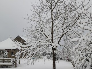 Ferienhaus Stoumont Außenaufnahme 5