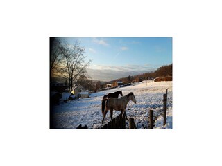 Casa de vacaciones Stoumont  40