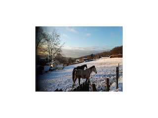 Holiday house Stoumont  41