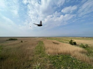 Holiday house Fjand  7