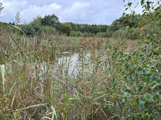 Holiday house Fjand  51