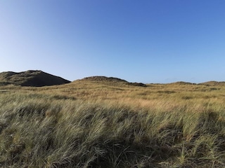 Vakantiehuis Fjand  38