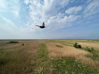 Vakantiehuis Fjand  38