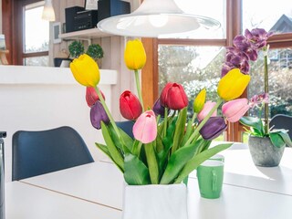 Vakantiehuis Fjand  12