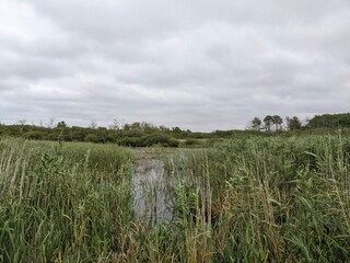 Vakantiehuis Bredebro  14