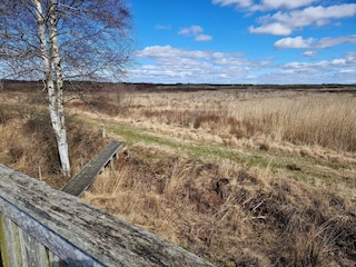 Casa de vacaciones Bredebro  15