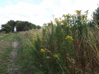 Vakantiehuis Bredebro  20