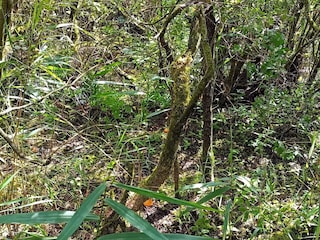 Ferienhaus Bredebro  20