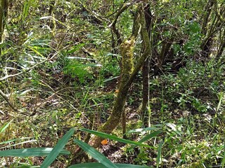 Vakantiehuis Bredebro  20