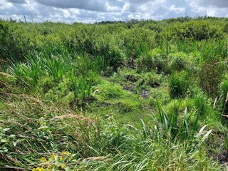 Vakantiehuis Bredebro  27