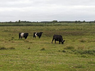 Vakantiehuis Bredebro  32