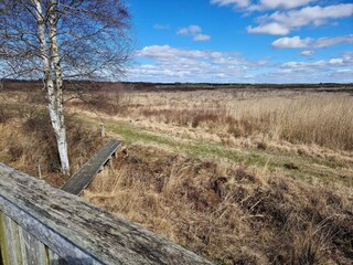 Ferienhaus Bredebro  12