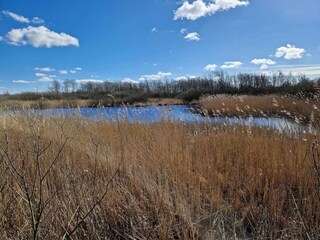 Casa per le vacanze Bredebro  11