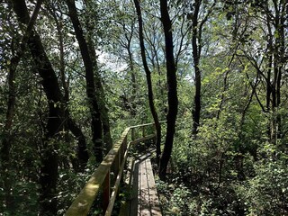 Vakantiehuis Bredebro  36