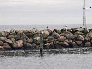 Vakantiehuis Spodsbjerg  25