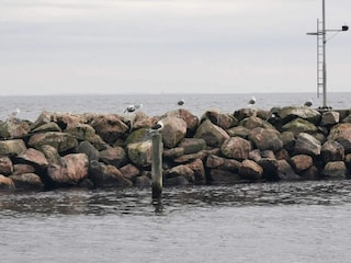 Vakantiehuis Spodsbjerg  5