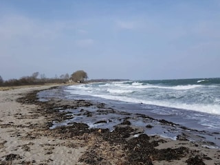Vakantiehuis Spodsbjerg  17