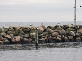 Maison de vacances Spodsbjerg  33