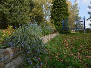 Maison de vacances Malmedy  38