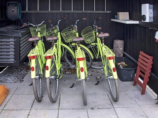 Vakantiehuis Aalbæk  7