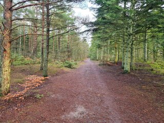 Maison de vacances Aalbæk  36