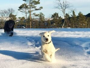 15 Personen Ferienhaus in Treungen