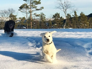 Casa de vacaciones Treungen (Telemark) Grabación al aire libre 9