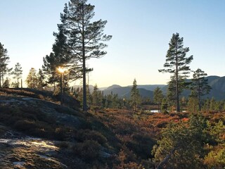 Vakantiehuis Treungen (Telemark) Buitenaudio-opname 5