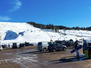 Holiday house Treungen (Telemark)  14