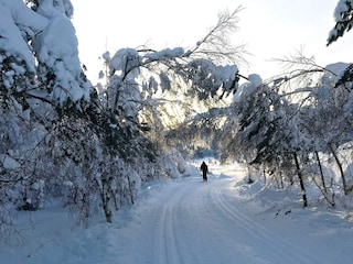 Ferienhaus Treungen (Telemark)  29