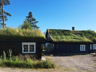 Vakantiehuis Treungen (Telemark) Buitenaudio-opname 4