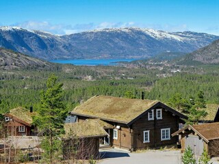 Vakantiehuis Treungen (Telemark) Buitenaudio-opname 6