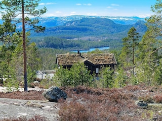 Ferienhaus Treungen (Telemark) Außenaufnahme 3