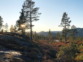 Ferienhaus Treungen (Telemark) Außenaufnahme 2