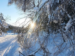 Casa per le vacanze Treungen (Telemark)  13