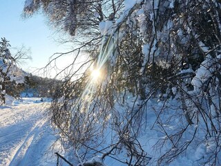 Maison de vacances Treungen (Telemark)  20