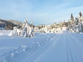 Ferienhaus Treungen (Telemark)  21