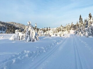 Vakantiehuis Treungen (Telemark)  24