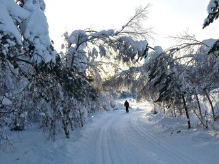 Holiday house Treungen (Telemark)  19