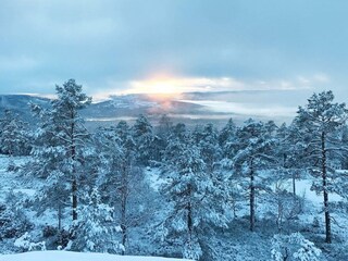 Vakantiehuis Treungen (Telemark)  26