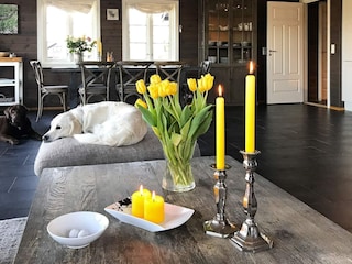 Ferienhaus Treungen (Telemark)  27