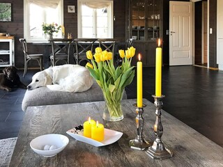 Vakantiehuis Treungen (Telemark)  22