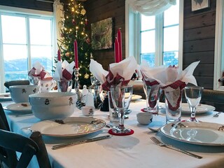 Holiday house Treungen (Telemark)  16