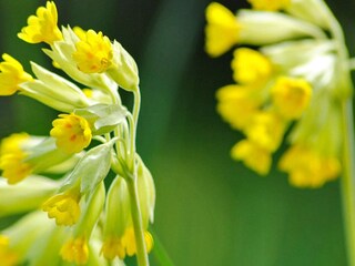 Maison de vacances Odensbacken Enregistrement extérieur 5